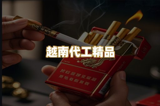 越南代工精品